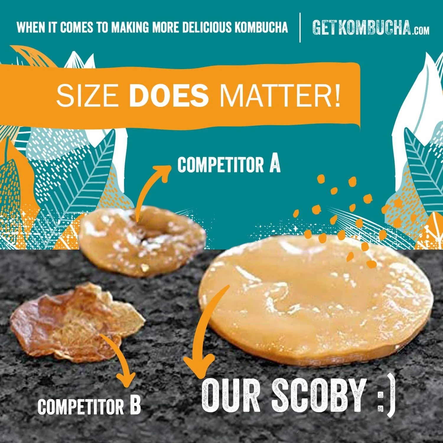 DIY Gifts Get KomBucha Brewing Starter Kit, Makes 5 Gallons of Organic Kombucha-Kit