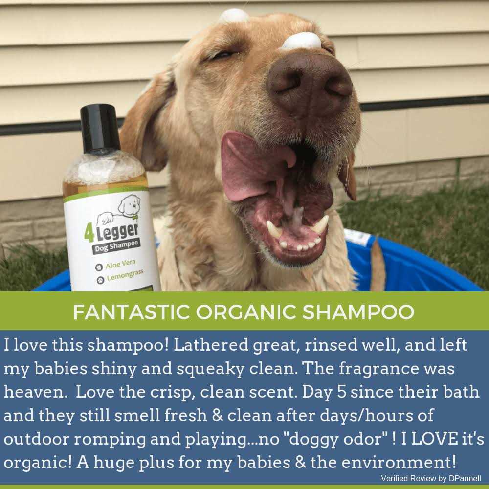 4-Legger Hypoallergenic Dog Shampoo with Organic Lemongrass - Pet Supplies online store