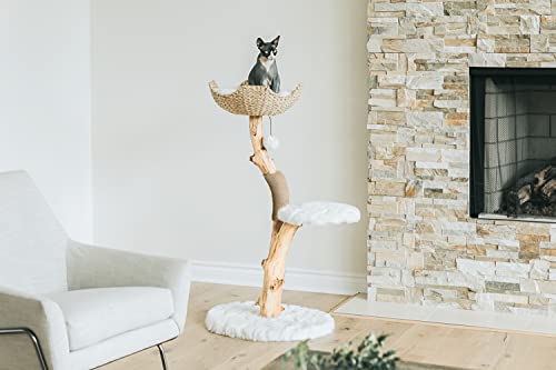 Wooden Cat Tree Tower, Modern Single Branch Cat Condo, Wood Cat Tree, Cat Climbing, Furniture for Cat, Cat Lover Gift, Cat Furniture,Cat Gift by MAU LIFESTYLE (Brown)