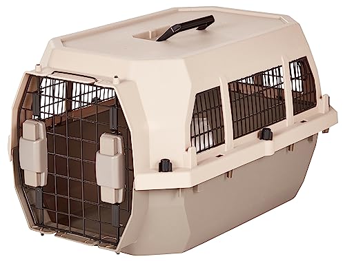 Amazon Basics 2-Door Top-Load Hard-Sided Pet Carrier for Dogs, Cats, Gray & Blue, 22.8 x 15.0 x 13.0 inches