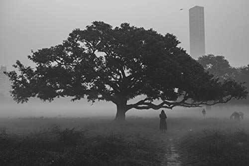 FUJIFILM X Replacement Lens FUJINON Monofocal Pancake 27mm F2.8 Dustproof Splashproof Low Temperature Resistant Aperture Ring F XF27MMF2.8 R WR