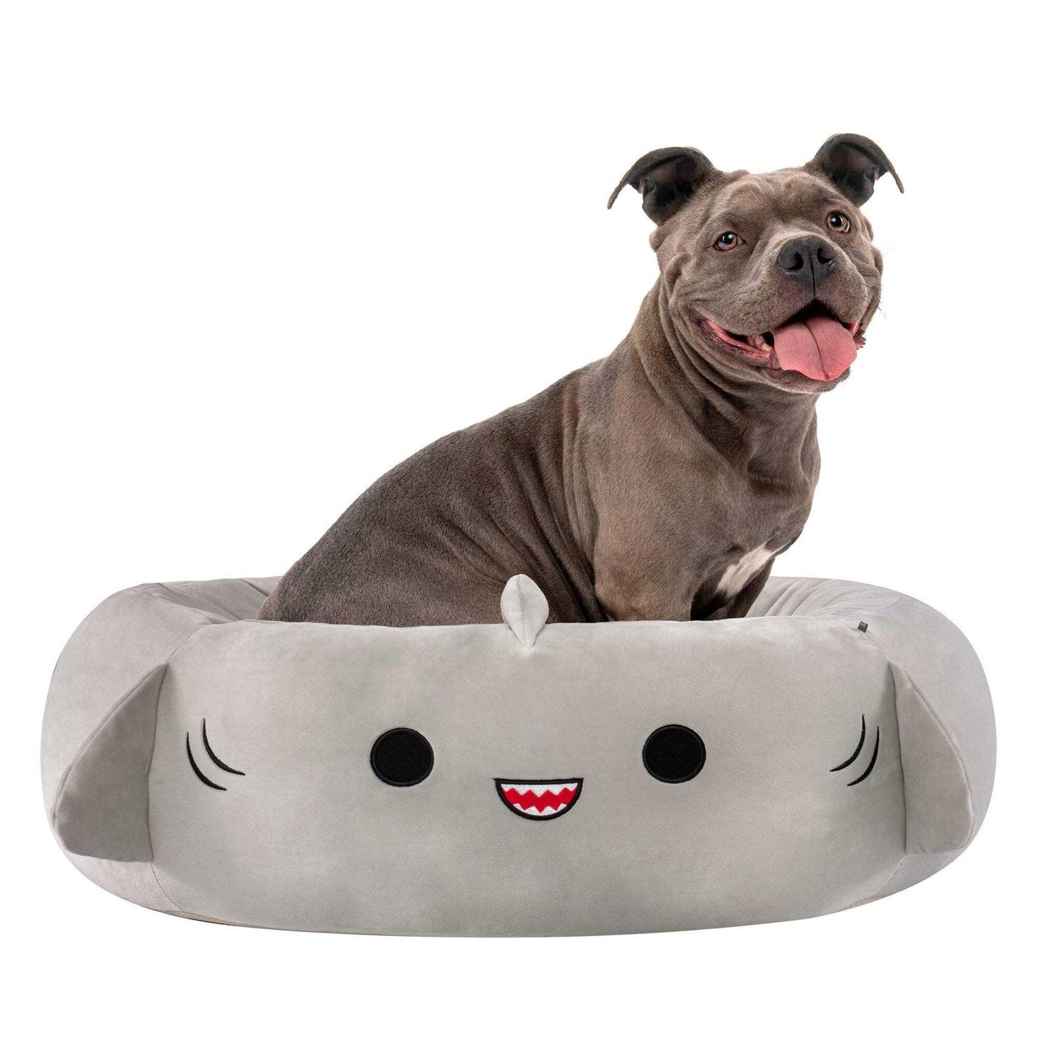 Squishmallows Gordon The Shark Pet Bed - Pet Supplies online store