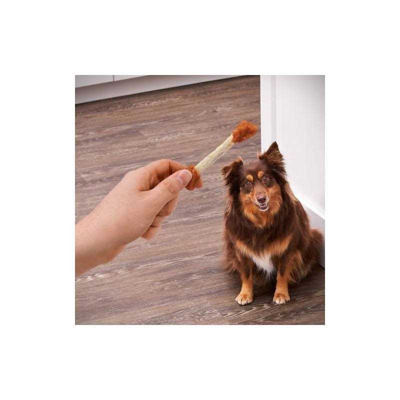 Ol' Roy Beefhide Coated Munchy Sticks Chicken Recipe Dry Training Treats for Dog - Pet Supplies online store