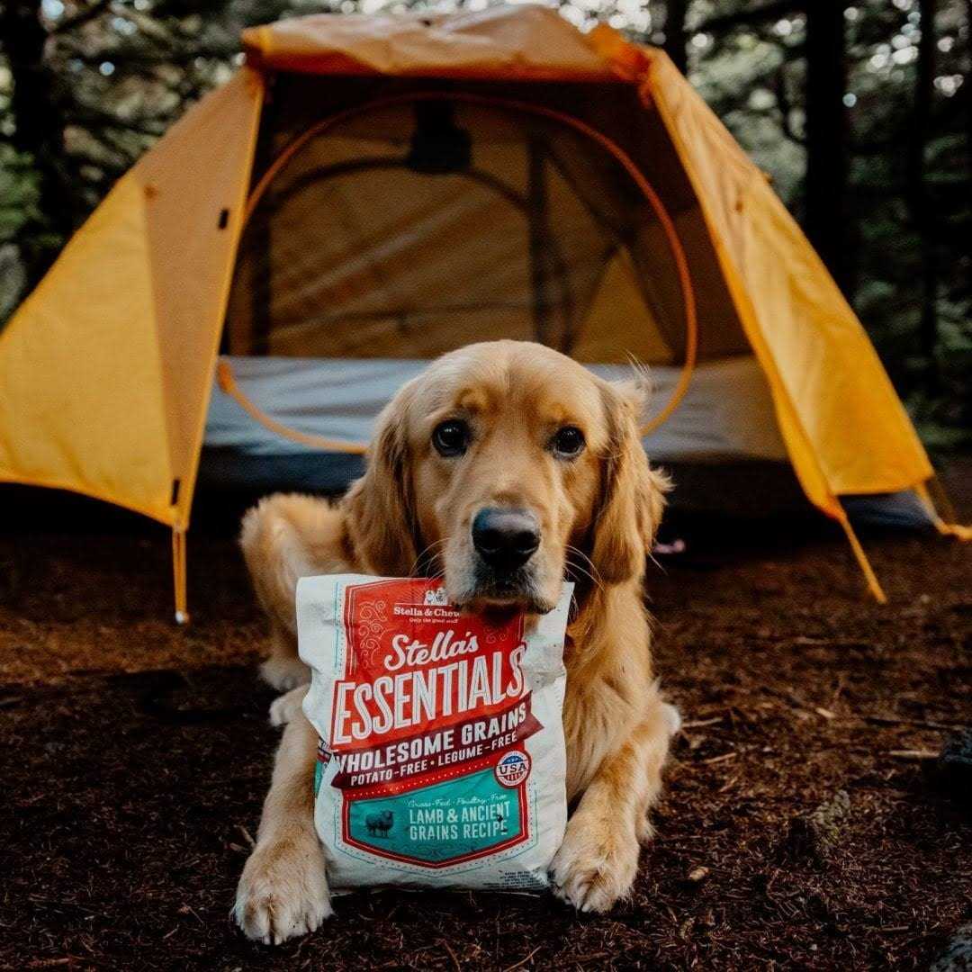 Stella & Chewy's Essentials Ancient Grains Recipe Dog Food - Pet Supplies online store