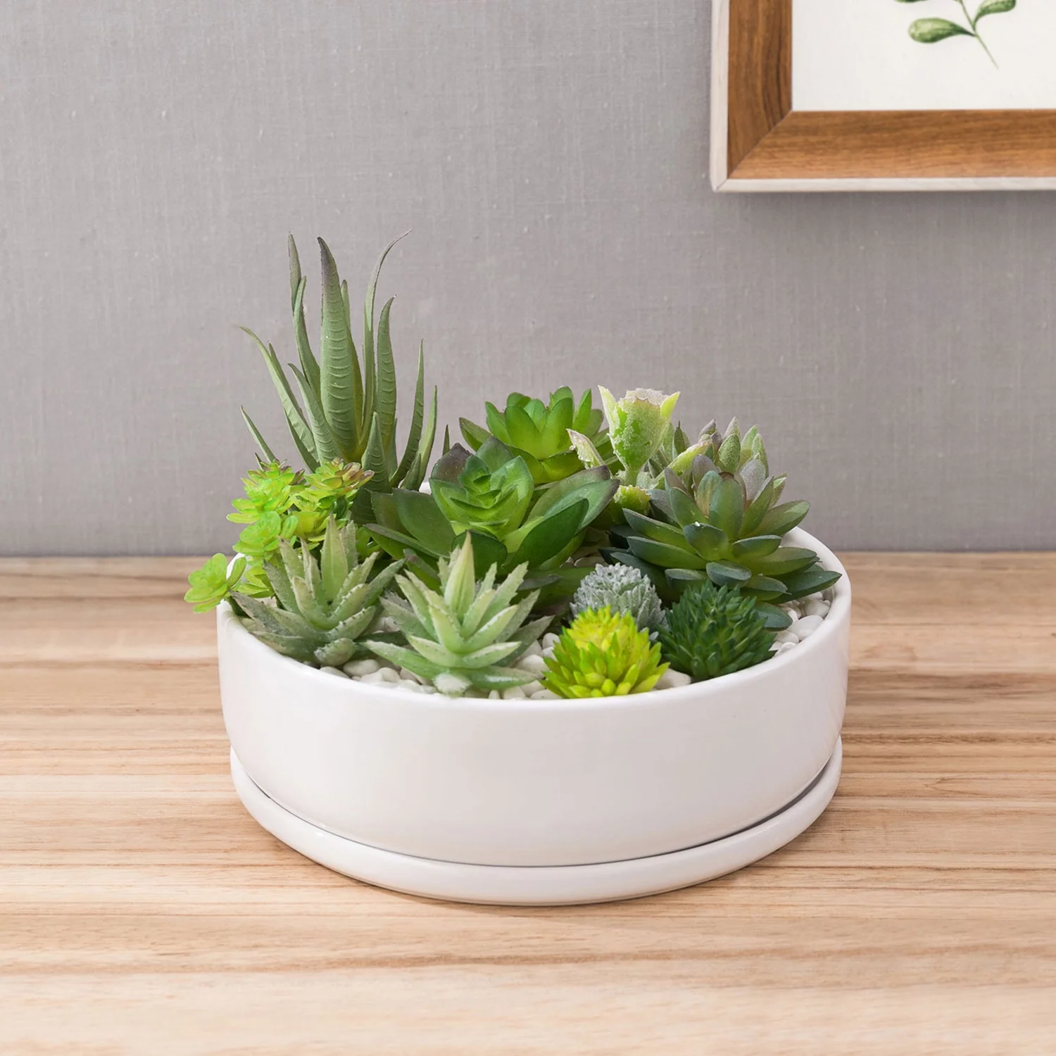 MyGift 8 inch Modern White Ceramic Round Succulent Planter