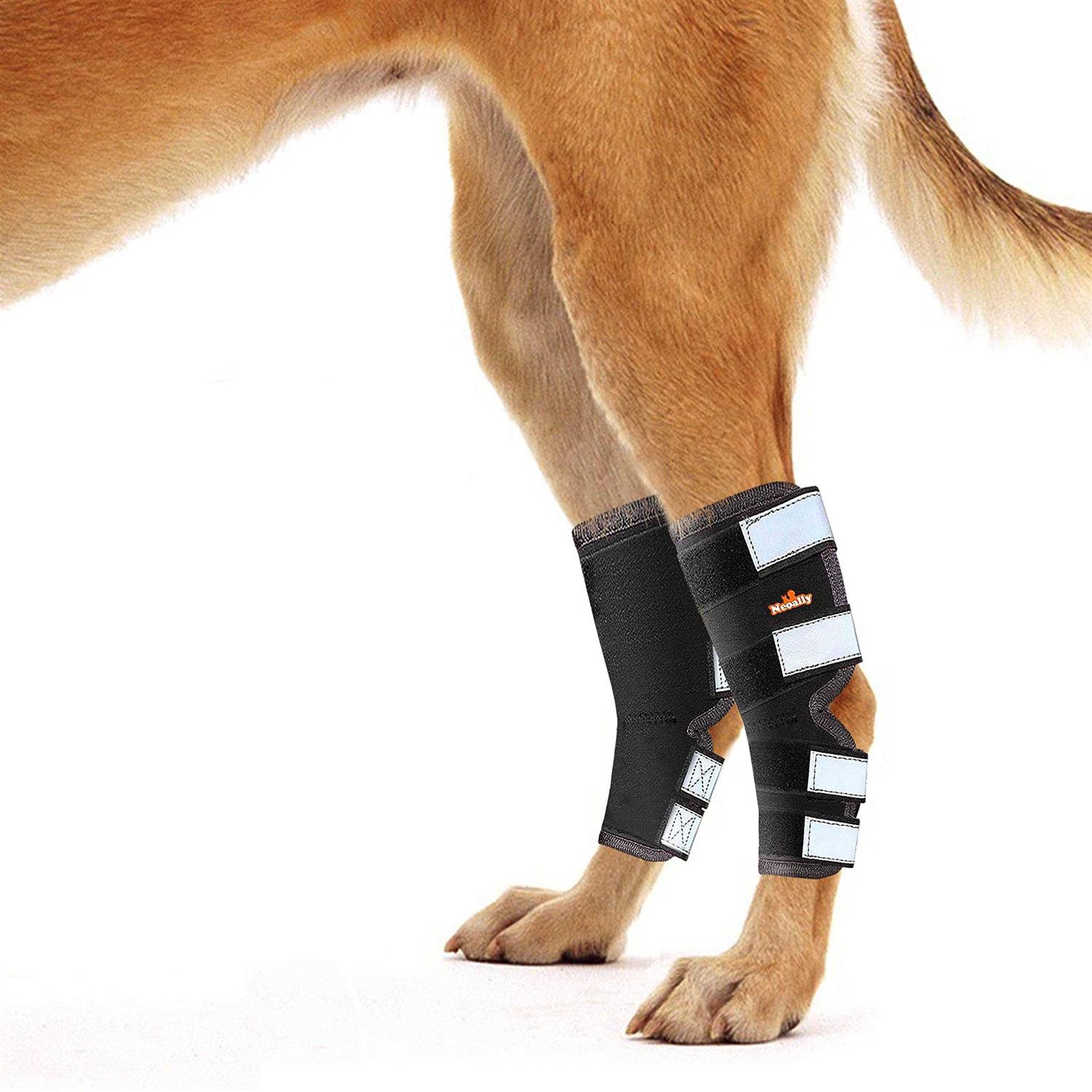 Neoally Dog Hind Leg Brace Canine Rear Leg Support with Safety Reflective Straps for Joint Injury - Pet Supplies online store