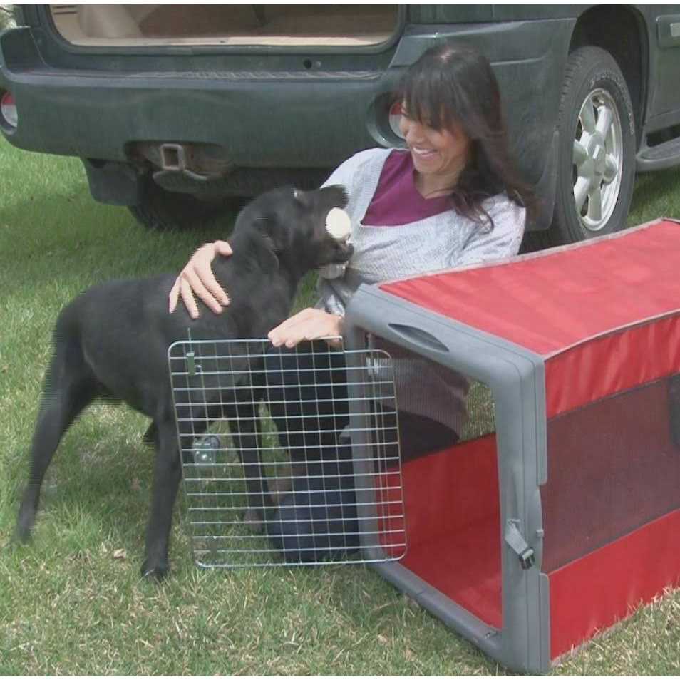 SportPet Designs Sportpet Pop up Travel Crate - Pet Supplies online store