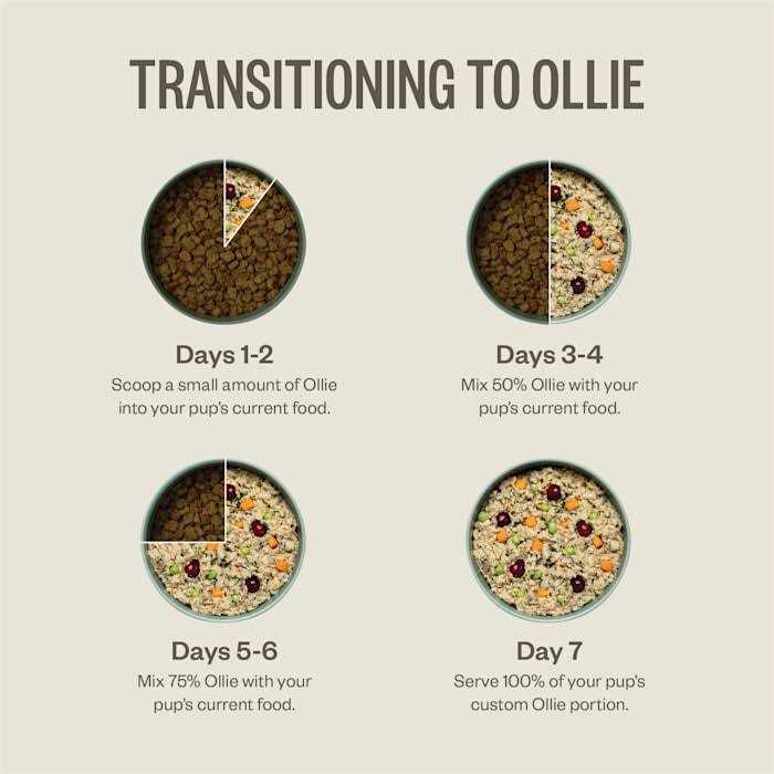 Ollie Chicken Dish with Carrots Fresh Frozen Dog Food - Pet Supplies online store