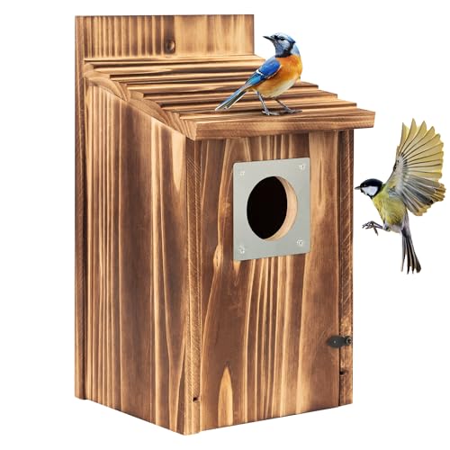 2 Pack Bird Houses for Outside with Metal Predator Guard for Bluebird Wren Swallow Finch, Carbonized Wooden Nesting Boxes for Outdoor, Sturdy Bird House,Easy to Clean