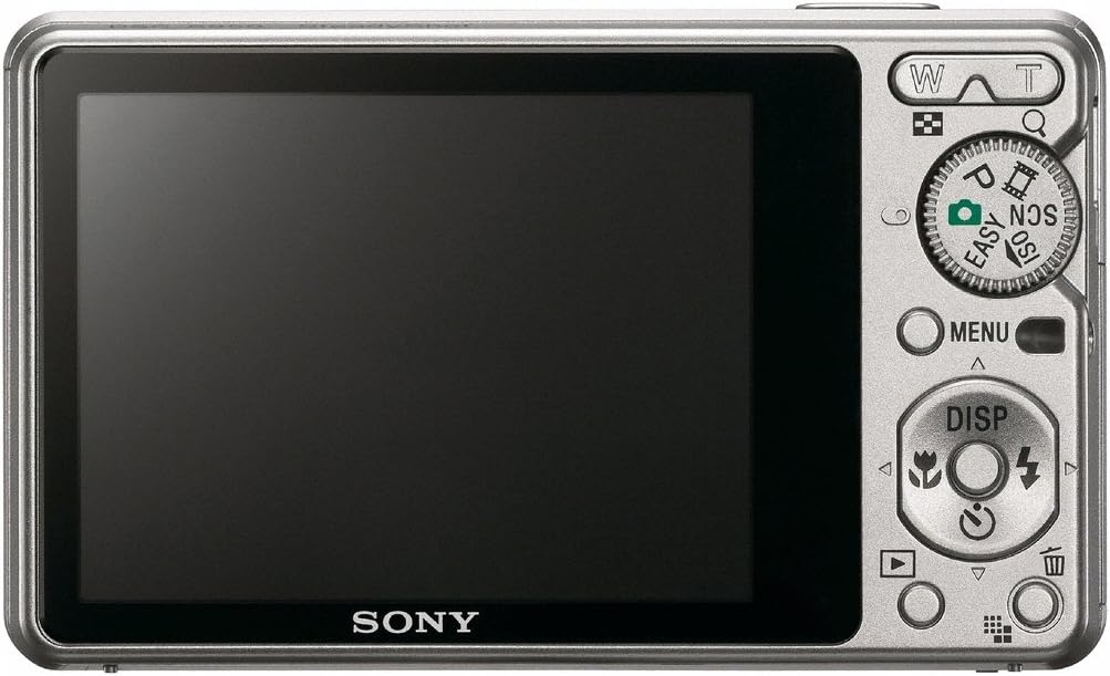 Sony Cybershot DSC-S950 10MP Digital Camera with 4x Optical Zoom with Super Steady Shot Image Stabilization (Silver)