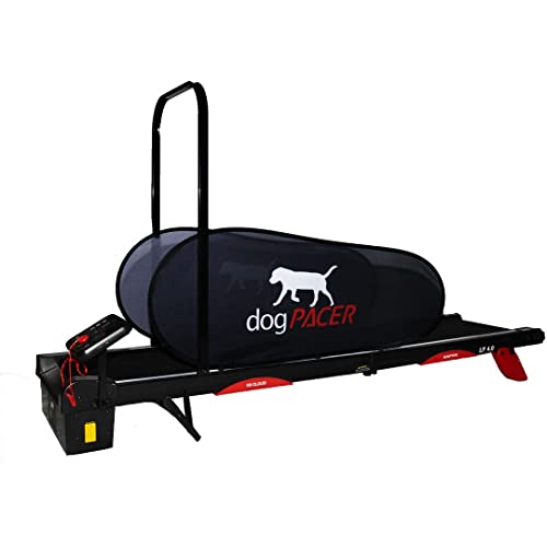 94697 4.0 Full Size Dog Pacer Treadmill, Black