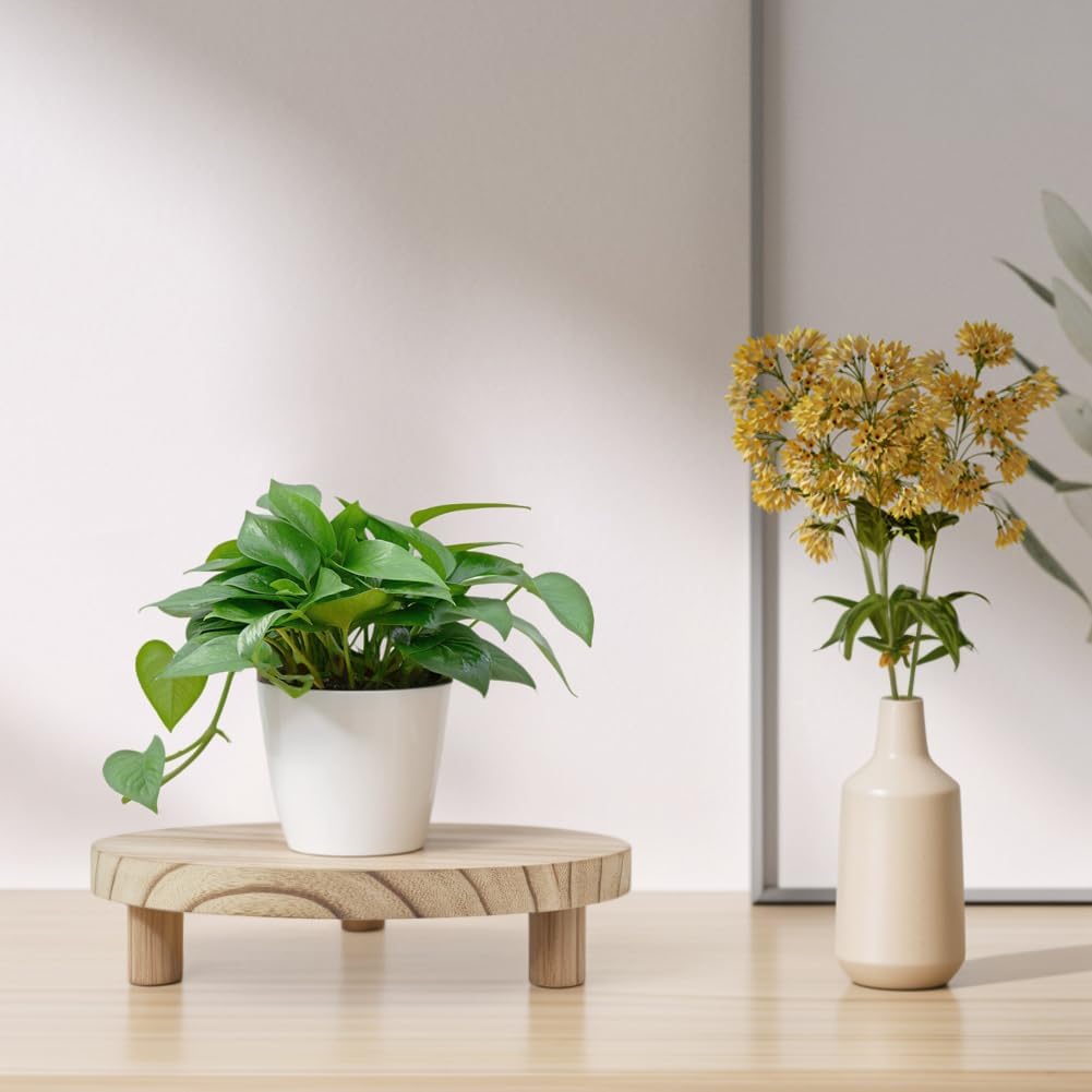 2 Pcs Wood Plant Stand Wooden Plant Stool Round Riser Display Stand Flower Pot Holder Low Plant Pot Flower Pedestal for Indoor Outdoor
