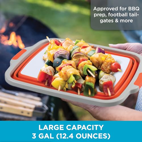 BIRDROCK HOME Large BBQ Collapsible Food Prep & Cutting Board and Grill Caddy Tub with Colander & Lid | Kitchen Veggie Washing Basket | Silicone Dish Bowl for Picnic, Tailgate, Camping