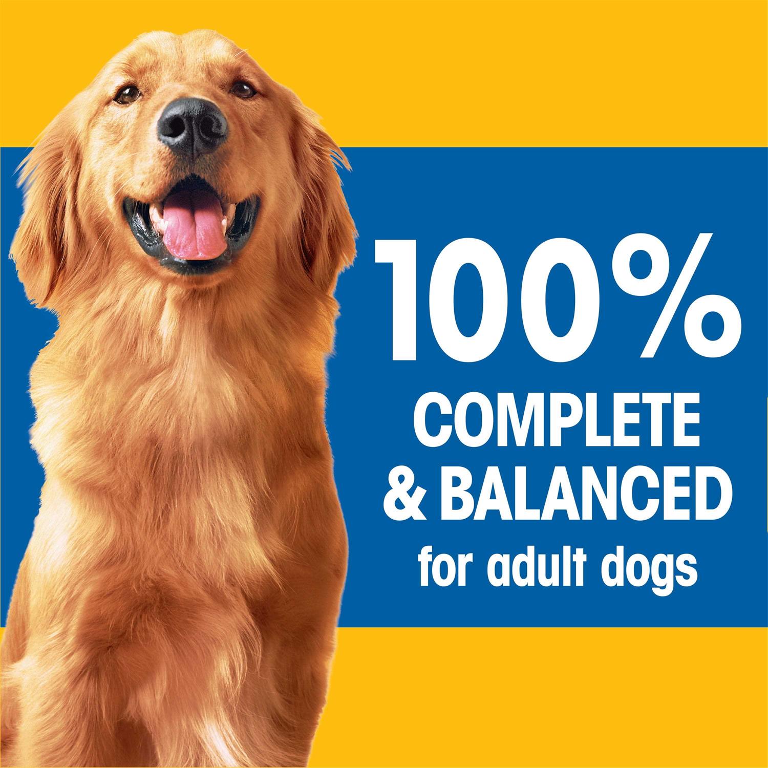 Pedigree Complete Nutrition Adult Dry Dog Food - Pet Supplies online store