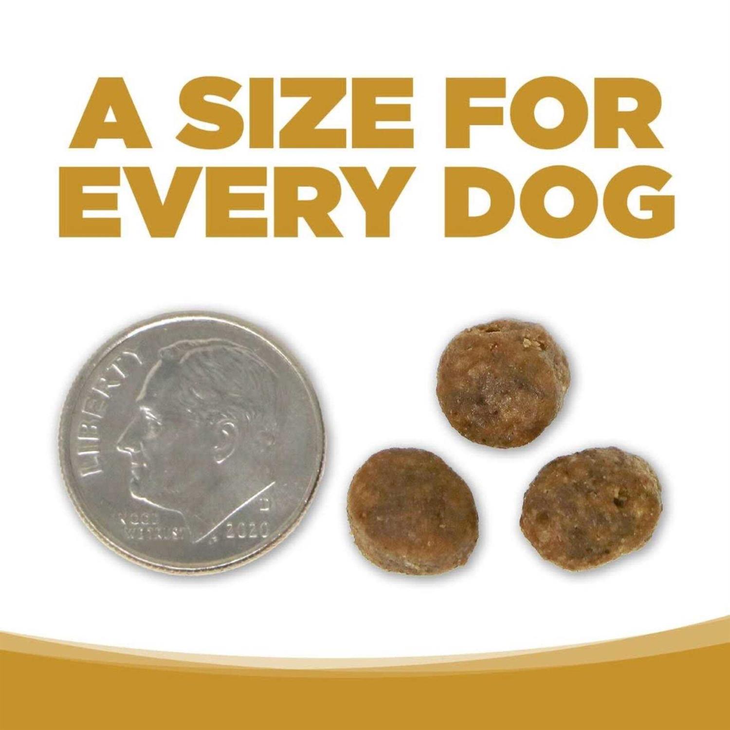 NutriSource Small Bites High Plains Select Grain Free Dog Food - Pet Supplies online store
