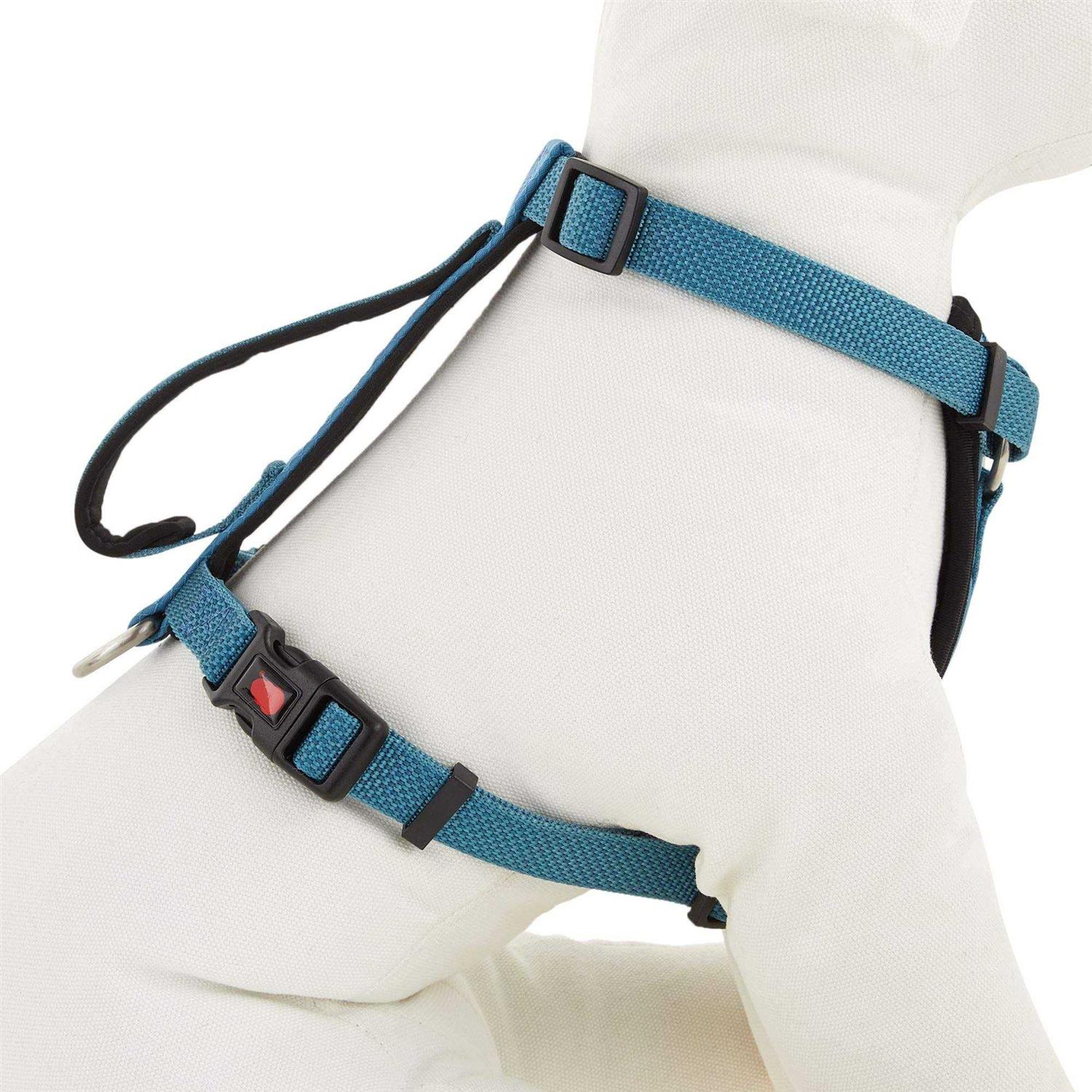 Kong Comfort Padded Chest Plate Dog Harness - Pet Supplies online store