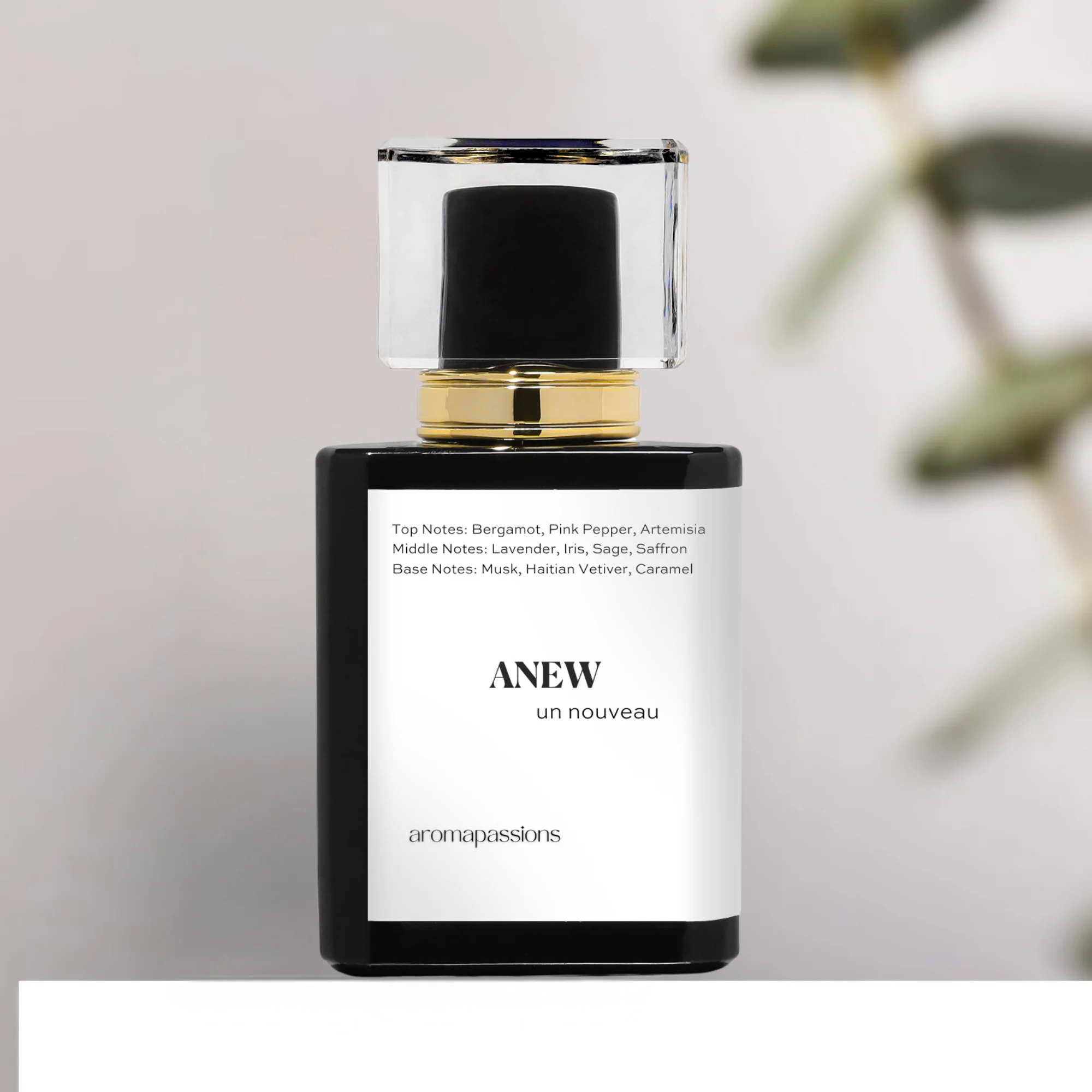 ANEW | Inspired by Prada LUNA ROSSA OCEAN | Pheromone Perfume for Men | Extrait De Parfum | Long Lasting Dupe Clone Perfume Cologne
