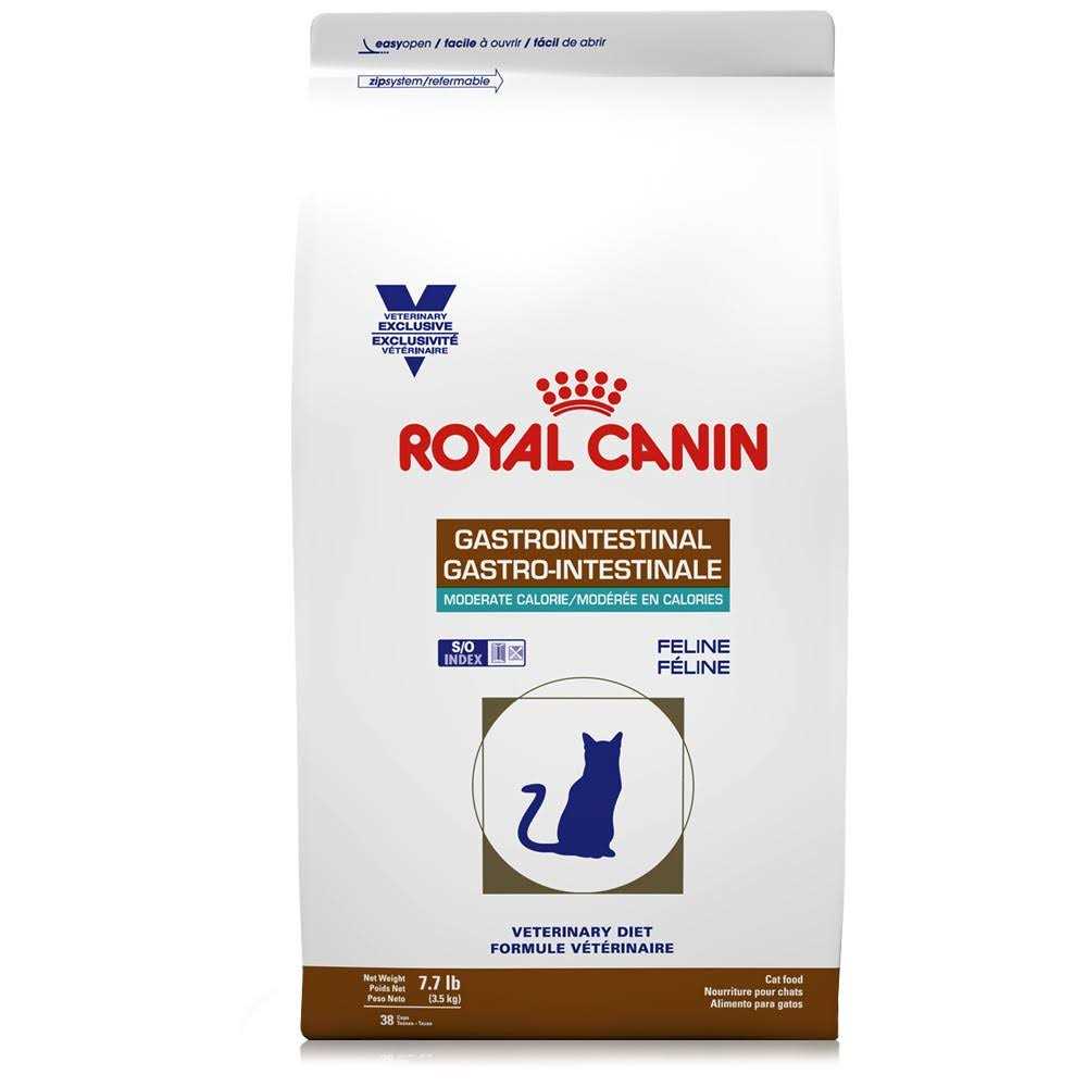 Royal Canin Veterinary Diet Gastrointestinal Moderate Calorie Dry Cat Food - Pet Supplies online store
