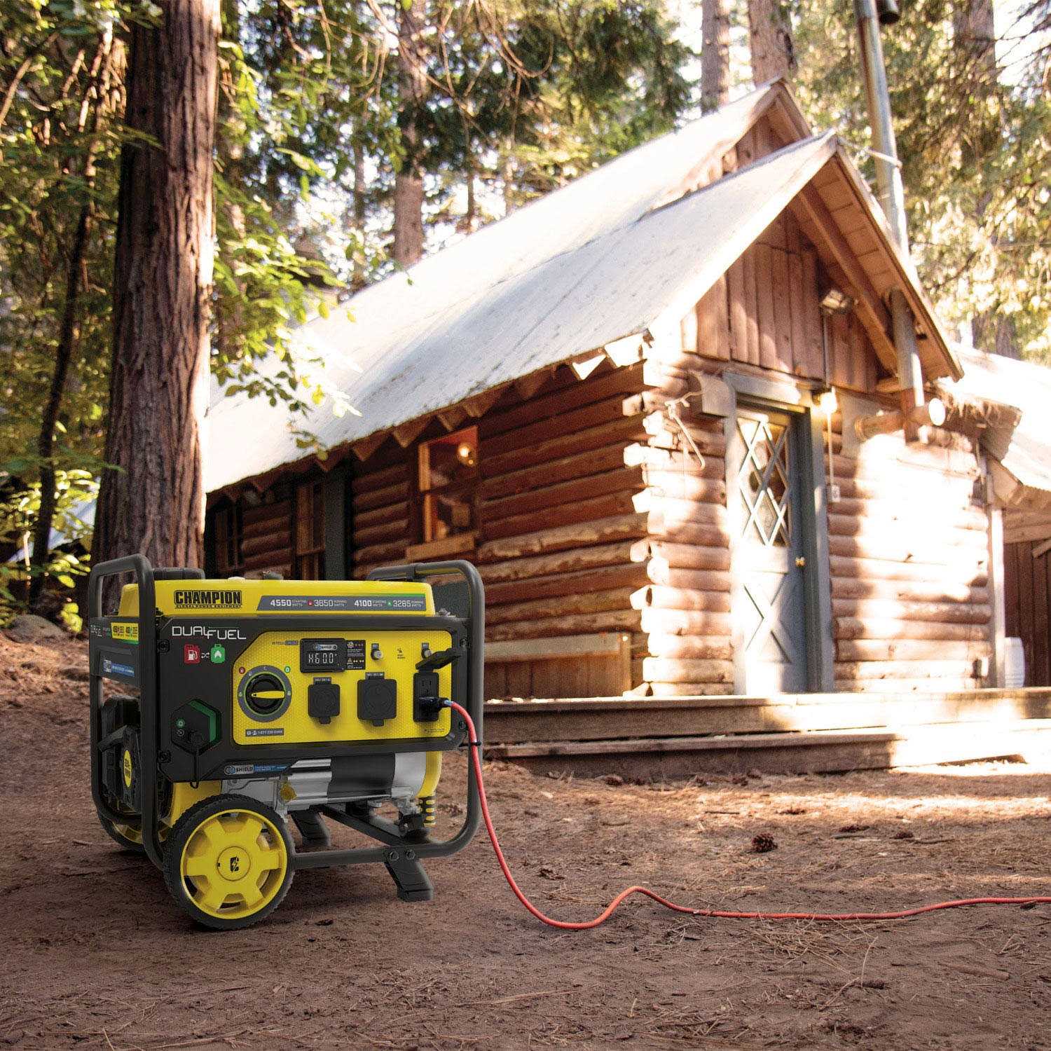 Champion Power Equipment 3650 W Dual Fuel Generator