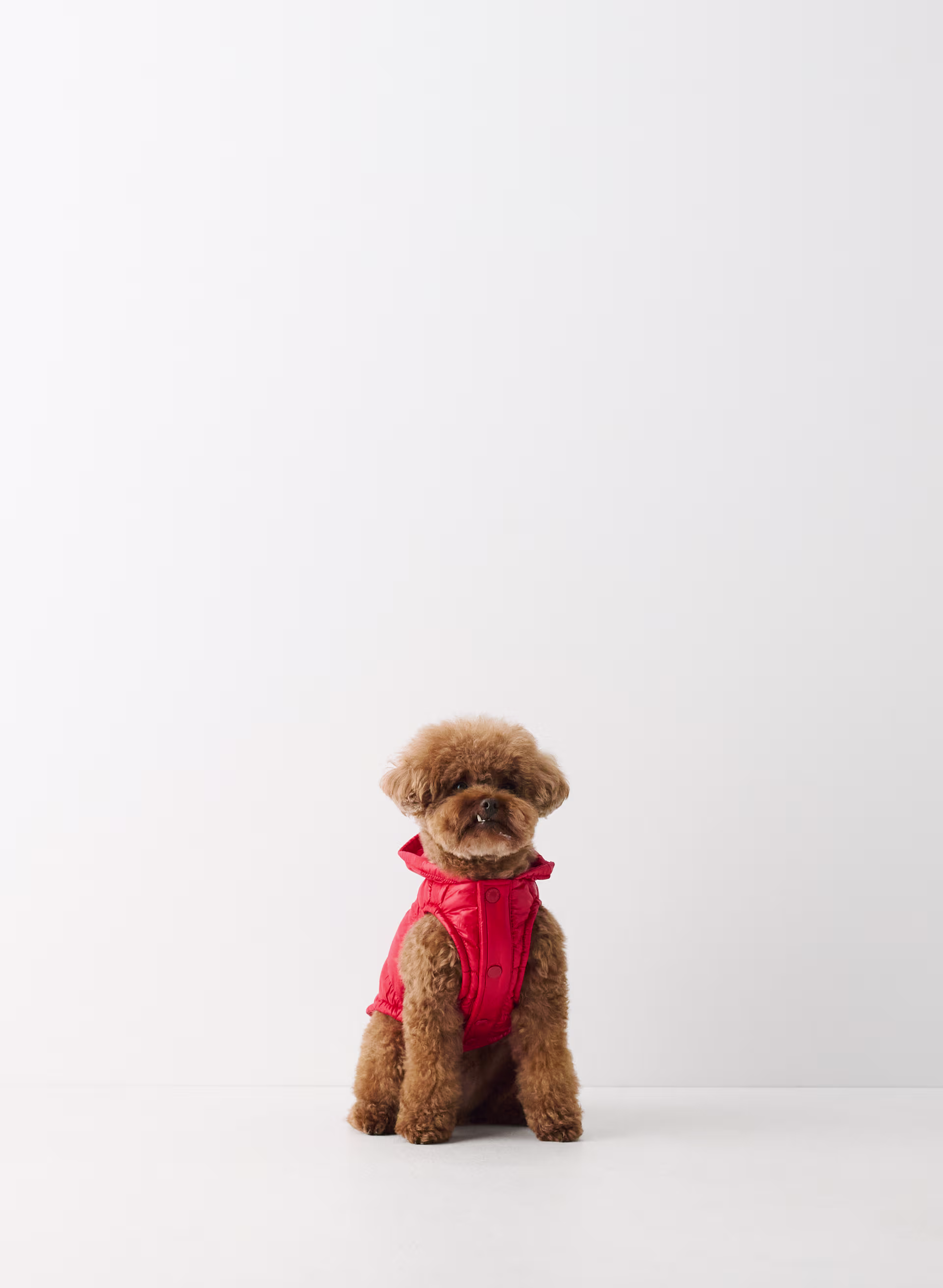 The Super Ruff Puff™ - Hi-Gloss - ARITZIA OUTLET