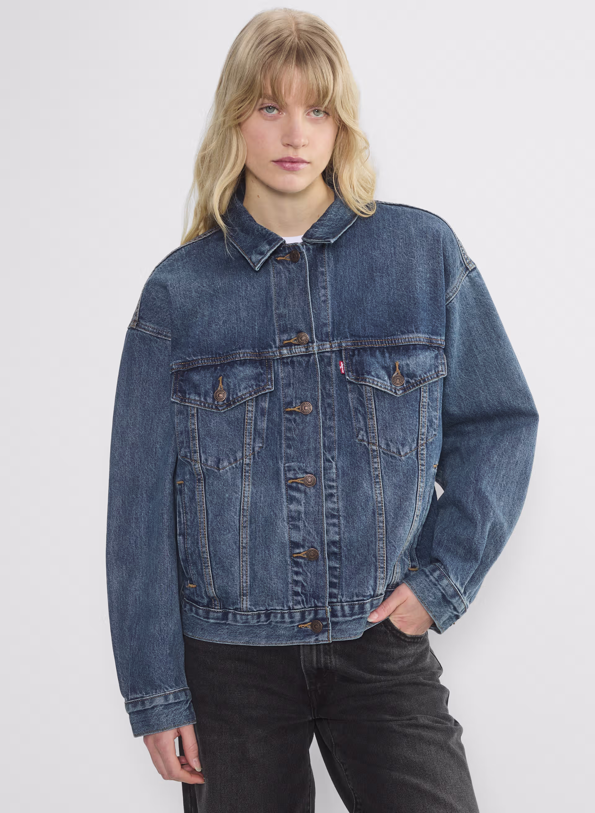 Levi's '90s Trucker Jacket - ARITZIA OUTLET